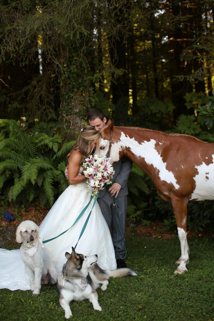 A serene photo of the bride and groom with their horse and two dogs.
