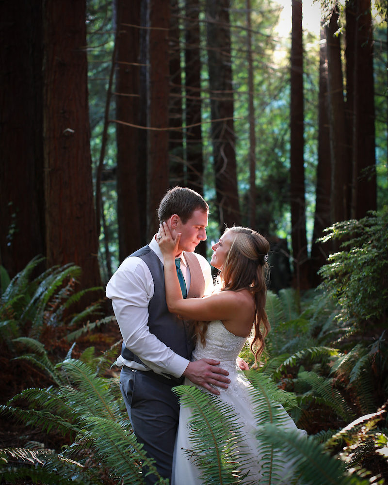 The bride and groom sharing a loving stare among the redwood trees.